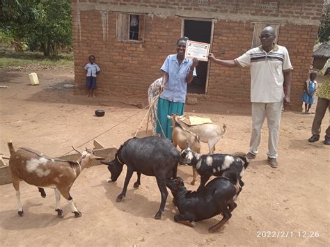 How It Works — The Goat Project Uganda.